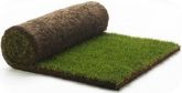 Medallion Turf